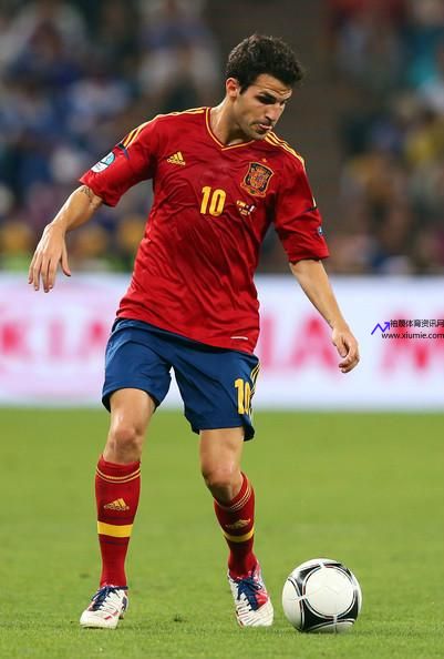 fabregas(fabregas球员)