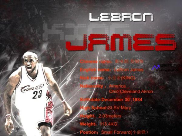 lebron james(Lebron James 翻译)