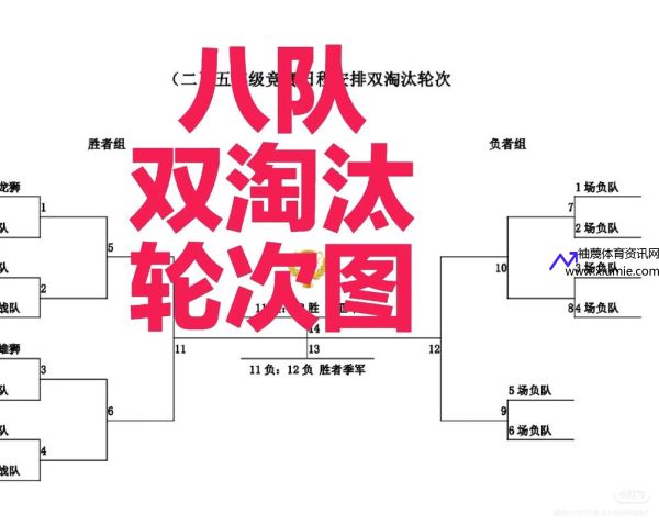 双败赛制(双败赛制优缺点)