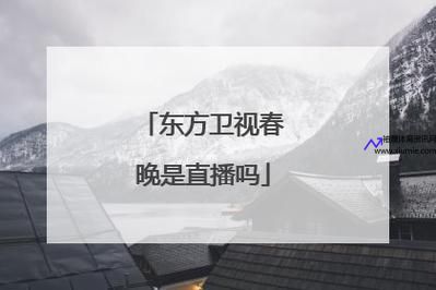 东方卫视在线直播网(东方卫视在线直播网址)